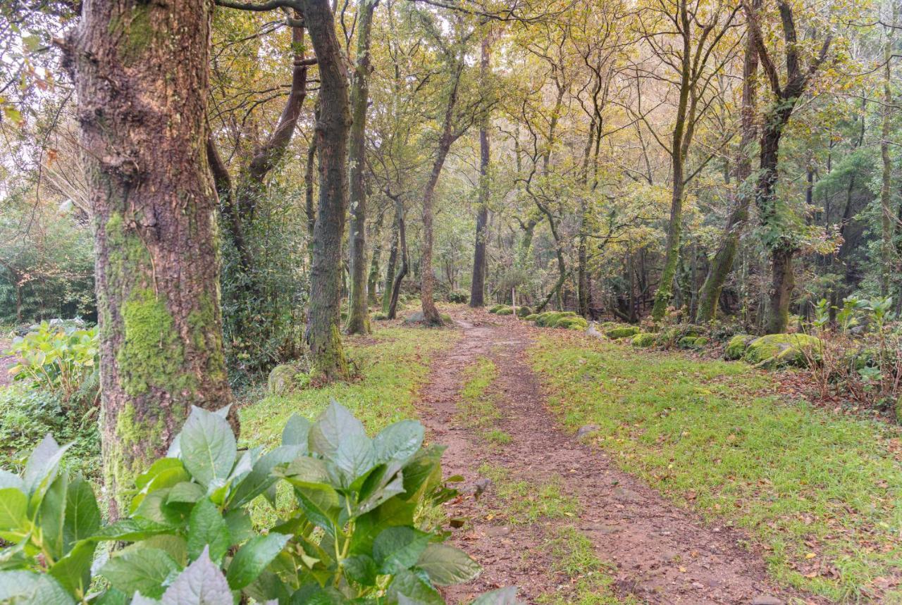 Entre Os Rios - Casa Rural Y Enoturismo Pobra Do Caraminal Exteriör bild